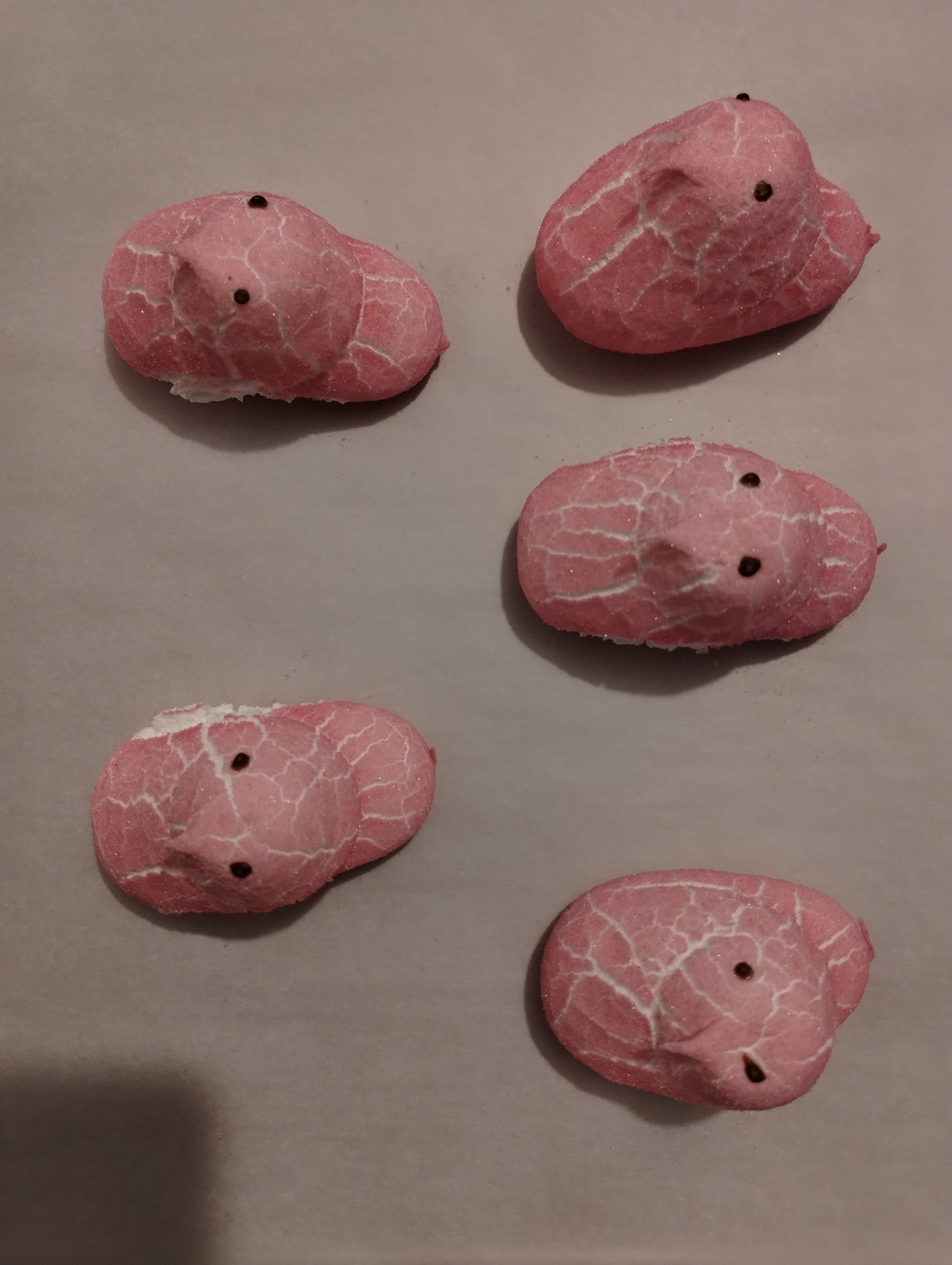 Freeper (Freeze Dried Peep®)