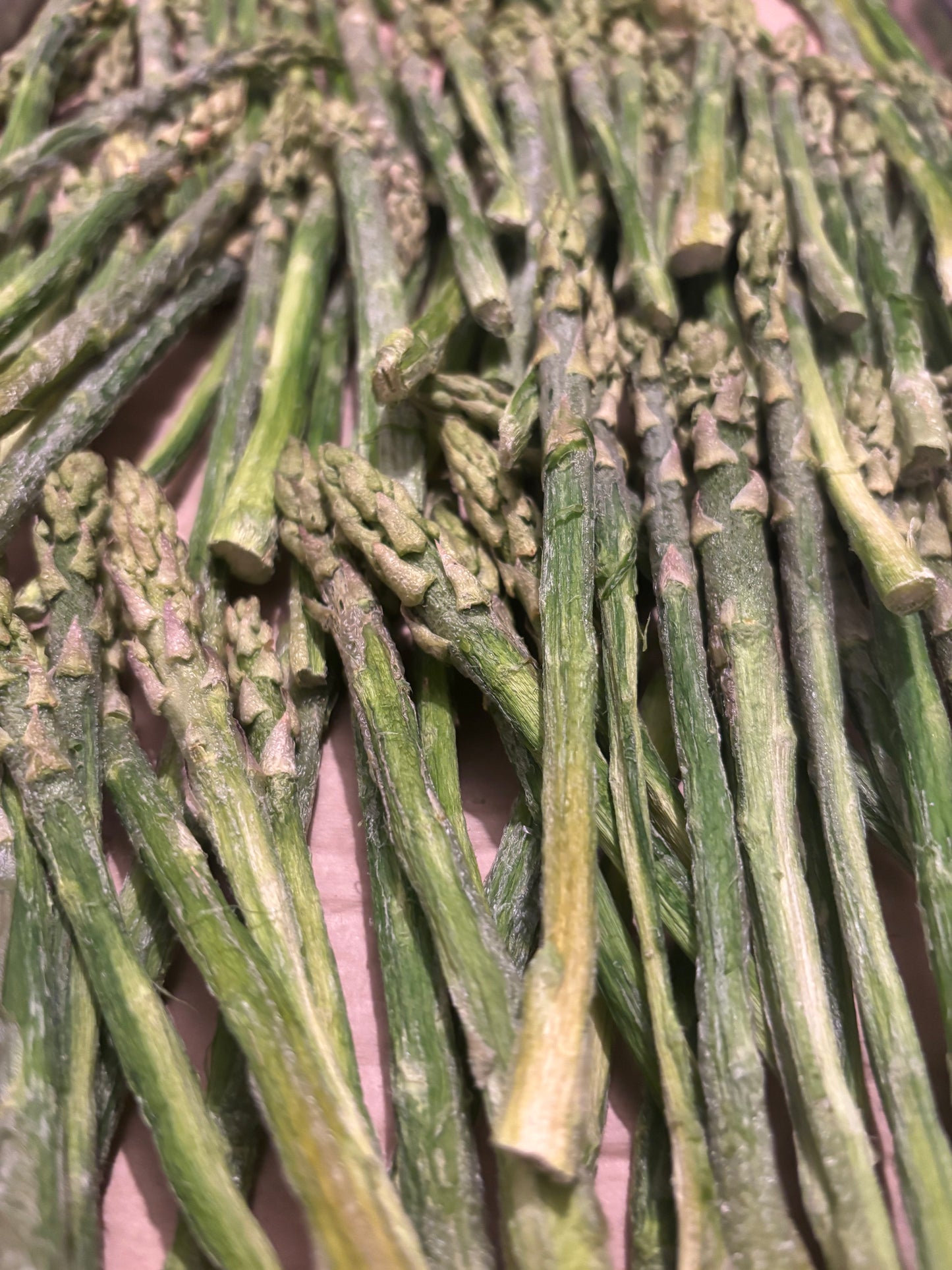 Asparagus Spears, Freeze Dried